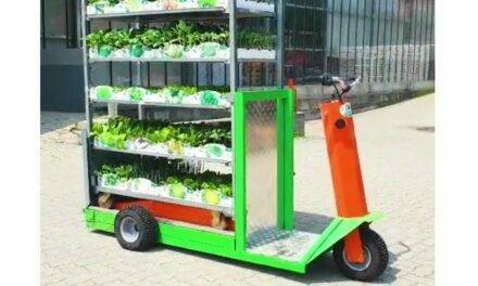 Speedy, el vehículo eléctrico para el transporte de carros de vivero