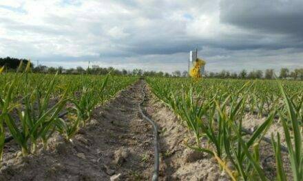 Agricultura sostenible: optimizar el uso del agua en las explotaciones de regadío