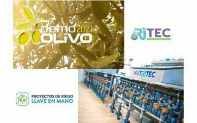 DemoOlivo2021, la rentabilidad del olivar está asegurada