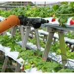 La robótica móvil en la agricultura