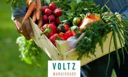 VOLTZ MARAÎCHAGE, ya disponibles los catálogos 2022/2023 para España