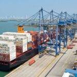 Flor cortada: comercio internacional y transporte marítimo
