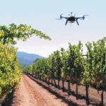 España apuesta por el uso de drones en agricultura