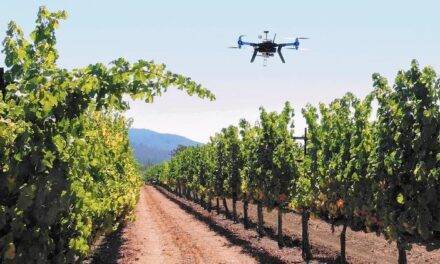 España apuesta por el uso de drones en agricultura