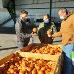 Bejo ibérica presenta su catálogo de cebollas para el mercado español