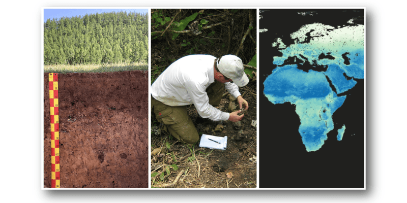 ISRIC celebrates 55 years of collaboration on soil information