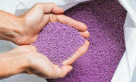 Uso de material biodegradable para encapsular fertilizantes agrícolas