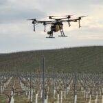 El uso de drones en tratamientos fitosanitarios