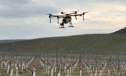 El uso de drones en tratamientos fitosanitarios