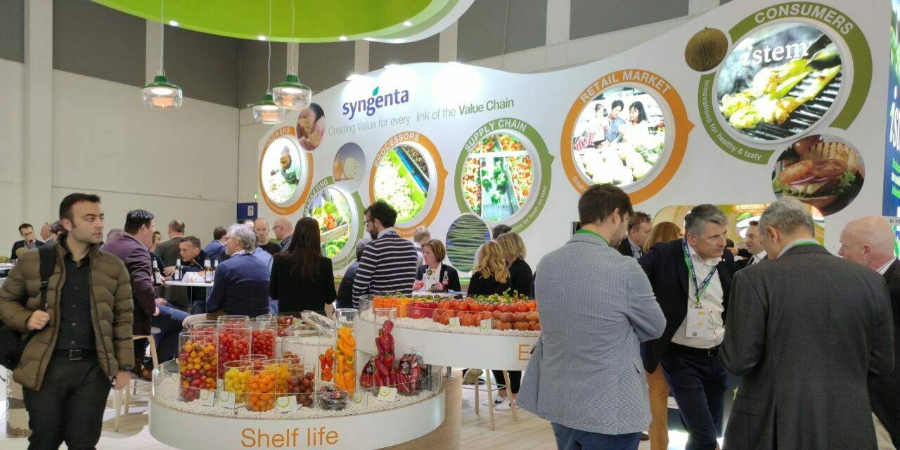 La coliflor iStem® “eat it all” de Syngenta, nominada al Premio a la Innovación Fruit Logística 2022