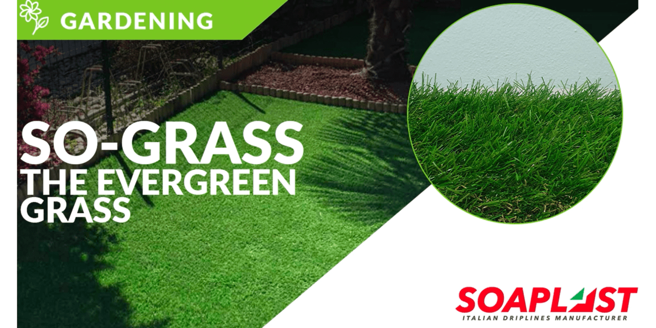 SO-GRASS, la solución en césped sintético para tus jardines y espacios