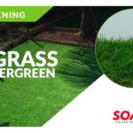 SO-GRASS, la solución en césped sintético para tus jardines y espacios