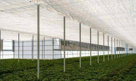 Innovaciones en horticultura: Arrigoni en GreenTech 2022