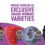 Las variedades de BerryWorld premiadas por su sabor superior