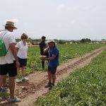 BASF “revitaliza” la sandía y el melón con una “lluvia” de conceptos y soluciones innovadoras