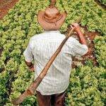 9 de septiembre: Día Mundial de la Agricultura