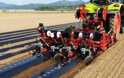 Maquinaria para una correcta preparación del suelo en el cultivo de fresa
