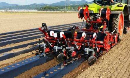 Maquinaria para una correcta preparación del suelo en el cultivo de fresa