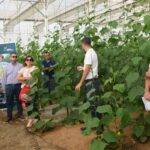 Exitosa jornada “Hacia la horticultura del futuro” organizada por Certis Belchim