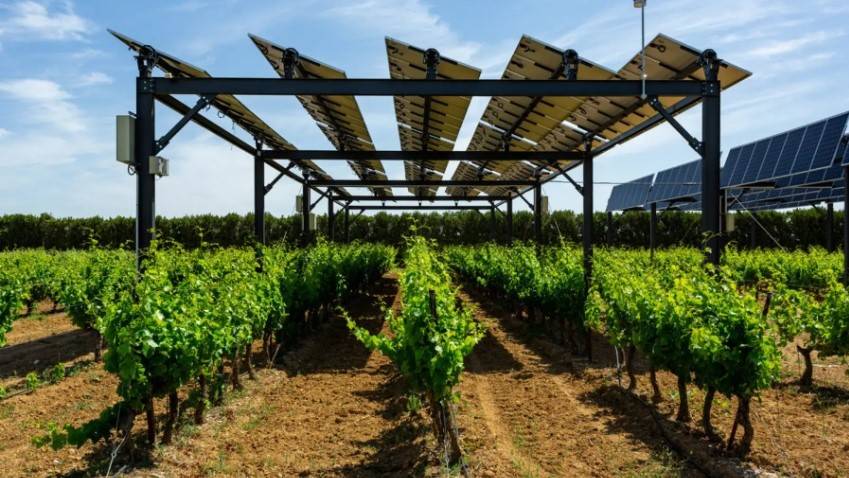El riego agrícola con energía solar, una alternativa cada vez más utilizada