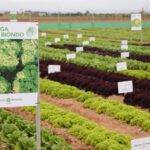 Ramiro Arnedo Semillas: jornadas de cultivos al aire libre