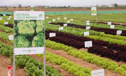 Ramiro Arnedo Semillas: jornadas de cultivos al aire libre