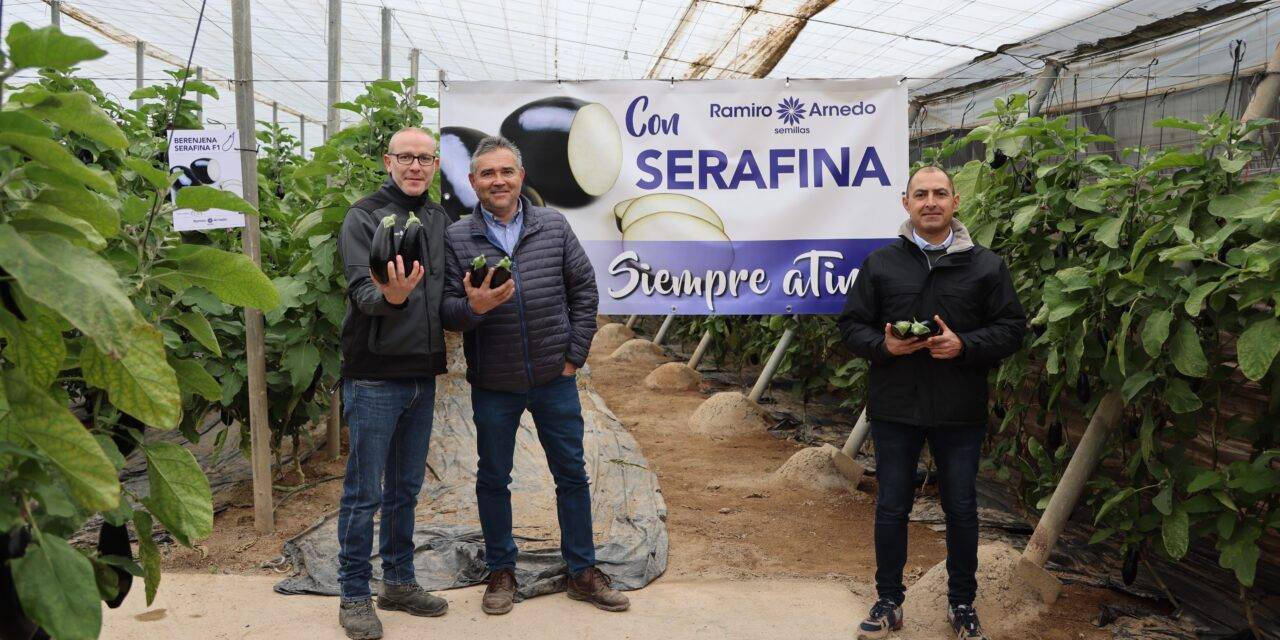 Serafina: la nueva berenjena de Ramiro Arnedo presentada en Almería