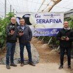 Serafina: la nueva berenjena de Ramiro Arnedo presentada en Almería