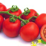 Semillas Fitó aporta al mercado variedades de tomate con resistencia a ToBRFV