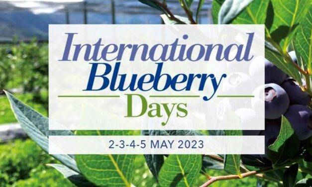 El International Blueberry Days en Macfrut 2023