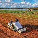 Ortomec, máquinas para siembra y cosecha de hortalizas