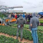 Horticultura: actualidad en máquinas y tecnologías para cultivos al aire libre