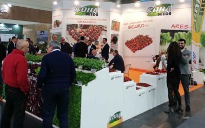 Cora Seeds en Macfrut 2023: nuevas variedades de tomate resistentes al ToBRFV y el nuevo concepto Euphoria