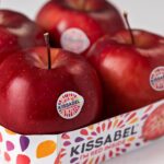 Sigue el desarrollo de las manzanas KISSABEL® en Sudamérica