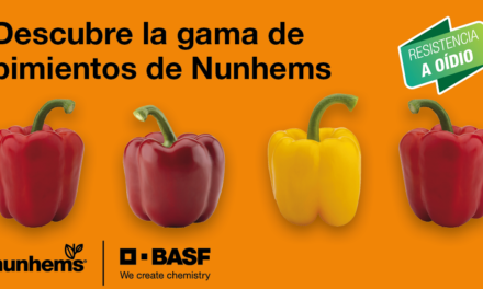 Nunhems Spain: conoce la gama de pimientos para la próxima campaña en Almería