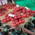 Cora Seeds presenta en Fruit Attraction nuevas variedades para productores más competitivos