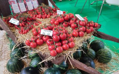 Cora Seeds presenta en Fruit Attraction nuevas variedades para productores más competitivos