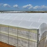 Peppers, tomatoes, aubergines: Arrigoni presents the new Prisma® Ldf Strong screen 