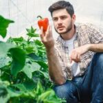 Trabajar en mejora vegetal, de las mejores salidas profesionales y la más desconocida