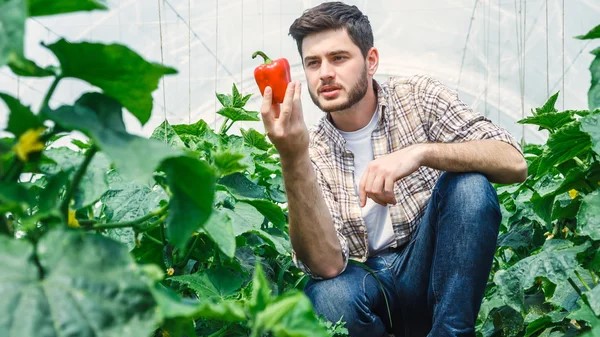 Trabajar en mejora vegetal, de las mejores salidas profesionales y la más desconocida