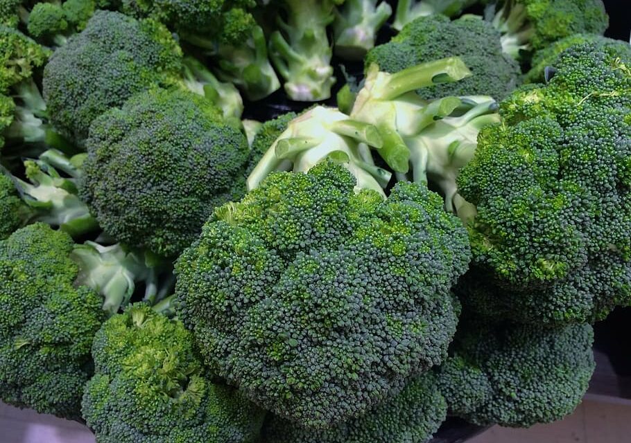 El óxido nítrico aumenta la disponibilidad y movilización del hierro en el brócoli