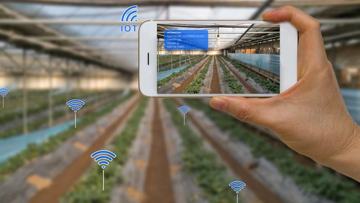 Curso online sobre Agricultura Digital para agricultores, técnicos y otros agentes del sector