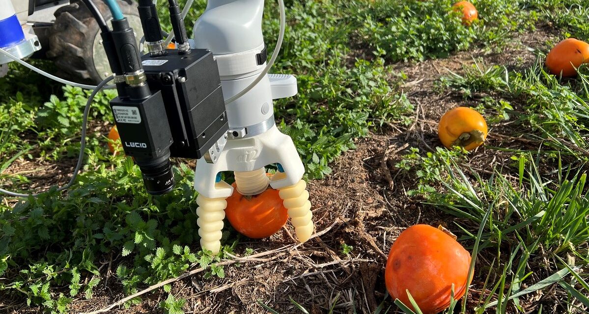 AINIA: desarrollan robot autónomo para detección y recolección de frutas del suelo