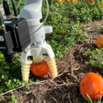 AINIA: desarrollan robot autónomo para detección y recolección de frutas del suelo