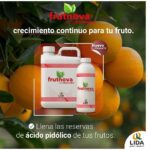 LIDA Plant Research lanza su nuevo producto Frutnova, para el crecimiento continuo del fruto