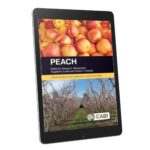 New book with all about the peach and nectarin
