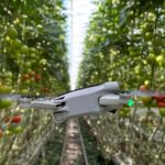Polinizadores artificiales, ¿la solución para una agricultura segura y rentable?
