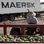 Mercado de frutas y hortalizas. ¿Cómo ha logrado España ser un referente a nivel mundial?