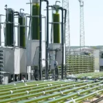 AlgaEnergy presentará sus novedades en bioestimulantes de microalgas