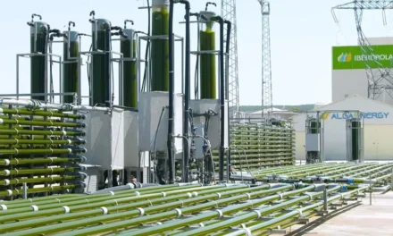 AlgaEnergy presentará sus novedades en bioestimulantes de microalgas